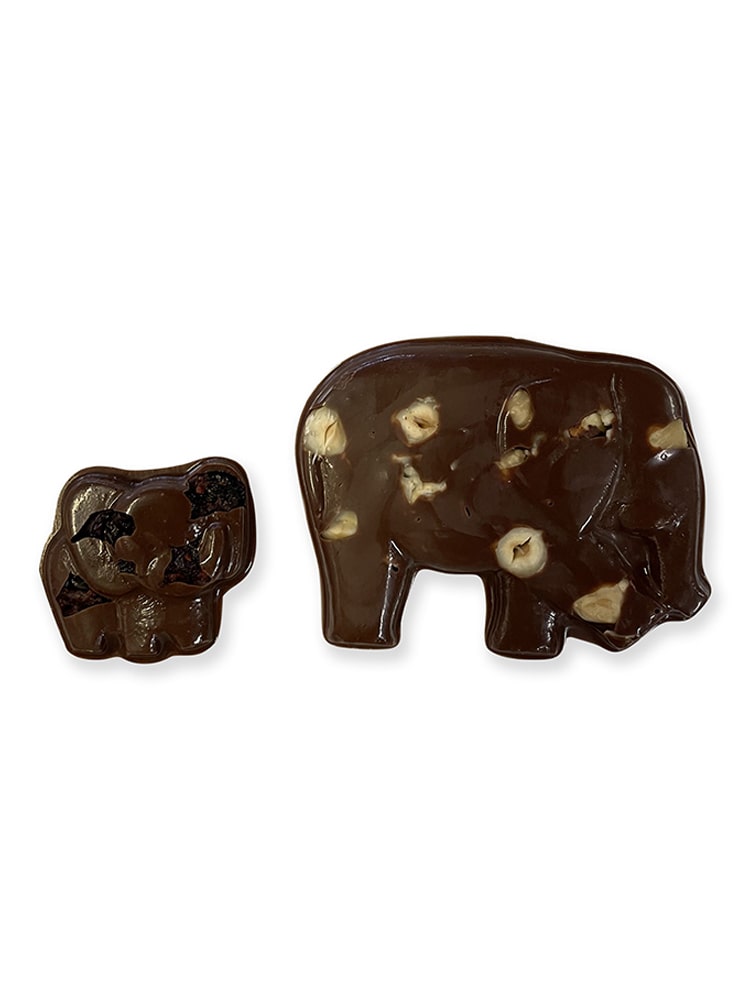 Elephant - Family - Dark, Milk Chocolate or Flavoured - Gift Box