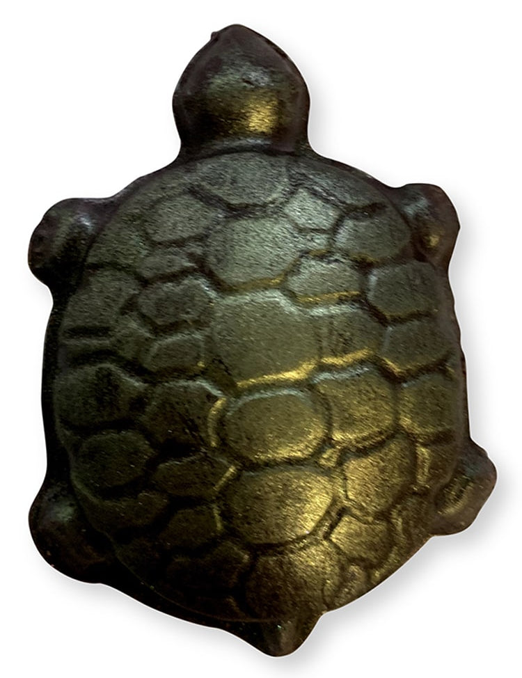 Turtle-Chocolate.jpg